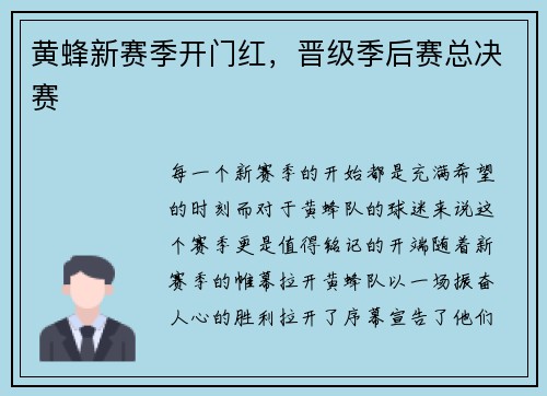 黄蜂新赛季开门红，晋级季后赛总决赛
