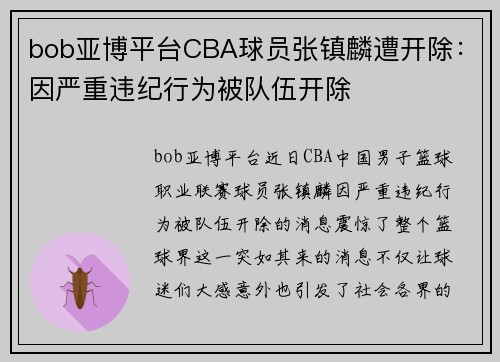 bob亚博平台CBA球员张镇麟遭开除：因严重违纪行为被队伍开除