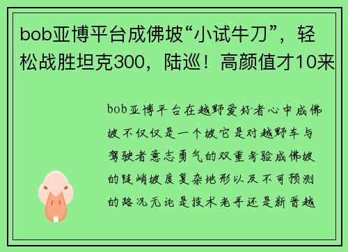 bob亚博平台成佛坡“小试牛刀”，轻松战胜坦克300，陆巡！高颜值才10来万 - 副本