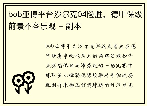bob亚博平台沙尔克04险胜，德甲保级前景不容乐观 - 副本