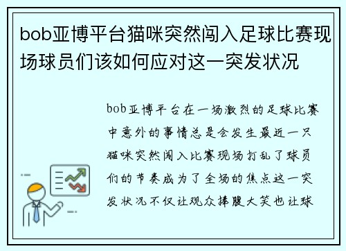 bob亚博平台猫咪突然闯入足球比赛现场球员们该如何应对这一突发状况